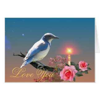 Simplicity Cards