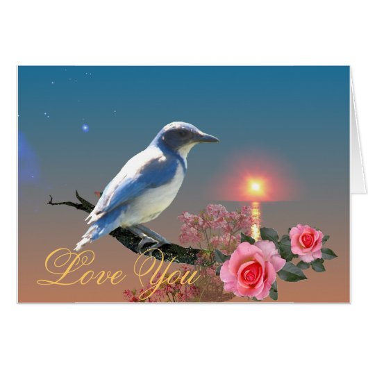 Simplicity Cards (Front Horizontal)
