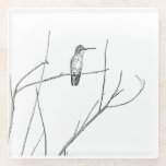 Simply a Hummingbird on a stick Glass Coaster