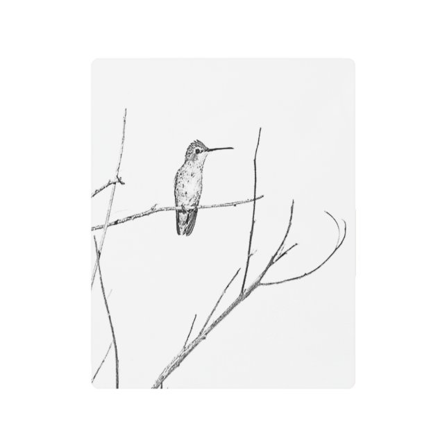 Simply a Hummingbird on a stick Metal Print (Front)