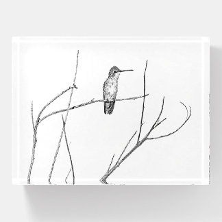 Simply a Hummingbird on a stick Paperweight