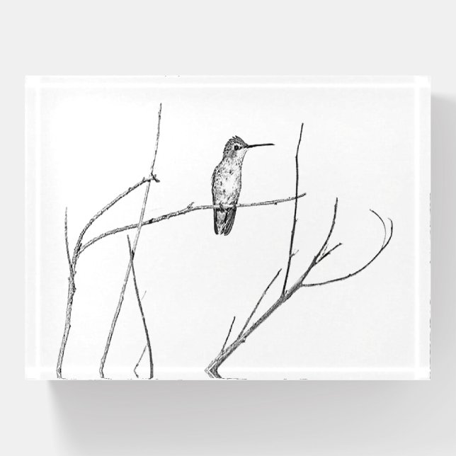 Simply a Hummingbird on a stick Paperweight (Front)