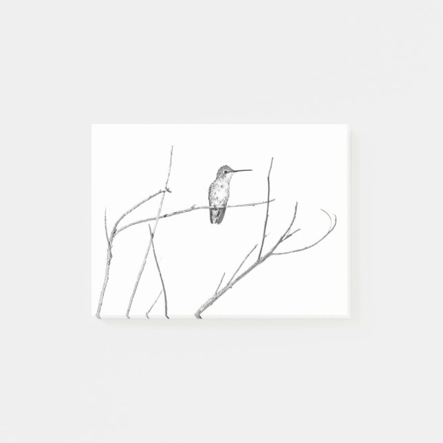 Simply a Hummingbird on a stick Post-it Notes (Front)