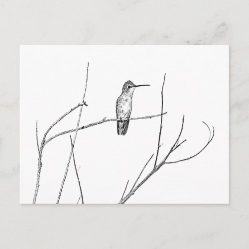 Simply a Hummingbird on a stick Postcard