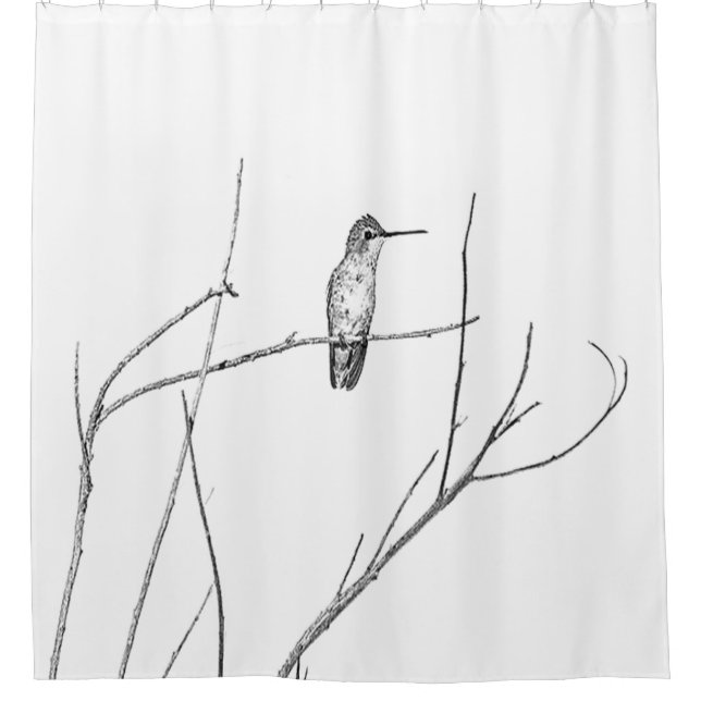 Simply a Hummingbird on a stick Shower Curtain (Front)