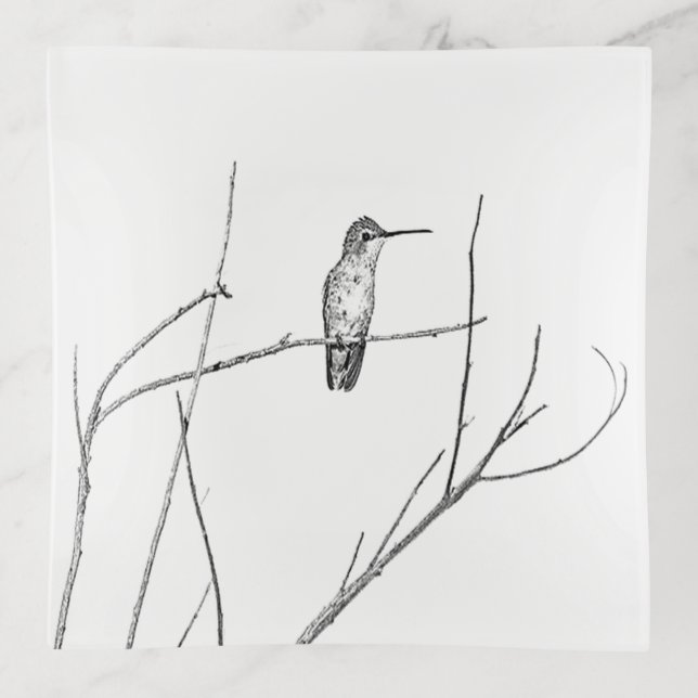 Simply a Hummingbird on a stick Trinket Tray (Front)