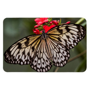 Simply a Paper Kite Butterfly Magnet
