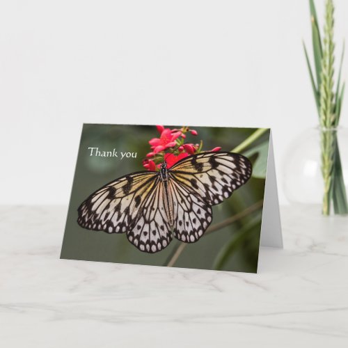 Simply a Paper Kite Butterfly Thank You Card