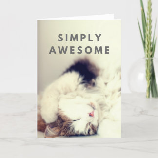 "Simply Awesome" Playful Cat Blank Greeting Card