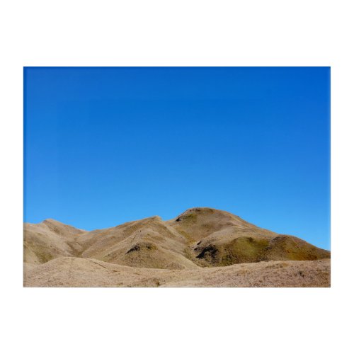 Simply Blue and Brown on 14 x 10 Acrylic Print