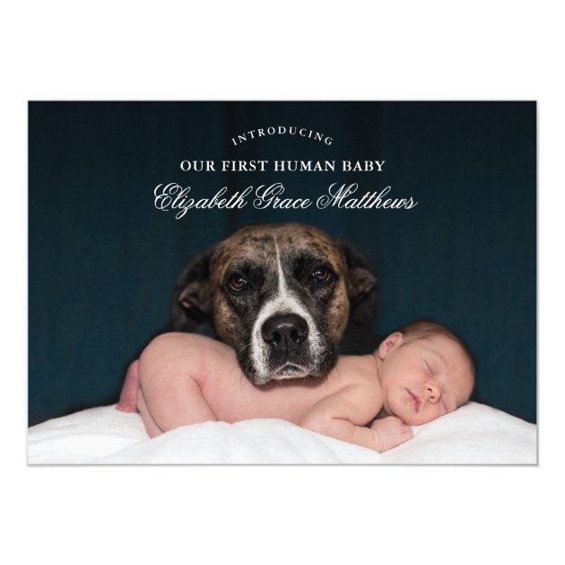 dog birth announcement