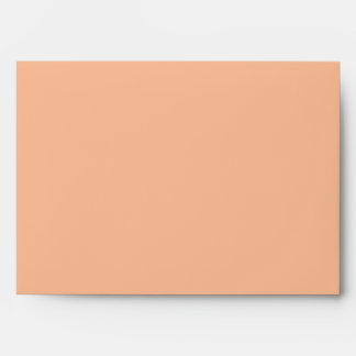 Simply Elegant Fuzzy Peach  Envelope