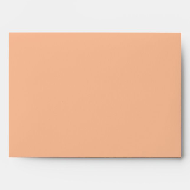Simply Elegant Fuzzy Peach  Envelope (Front)