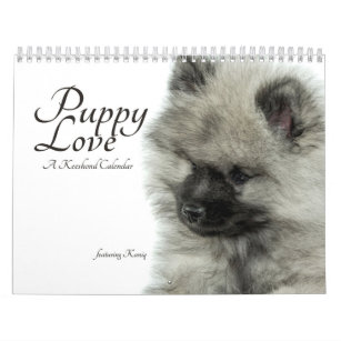 Simply Love Keeshond Puppy Calendar (Quoteless)