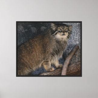 Simply Majestic Stretched Canvas Print