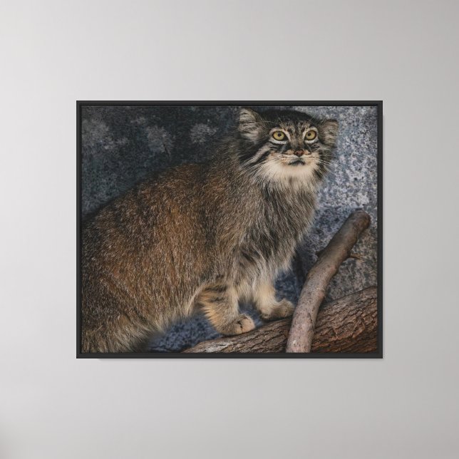 Simply Majestic Stretched Canvas Print (Front)