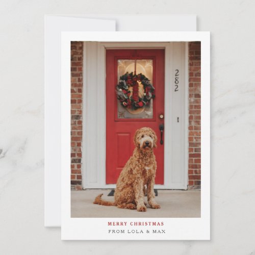 Simply Modern Merry Christmas  Dog Photo Card