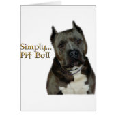 Simply PitBull (Front)