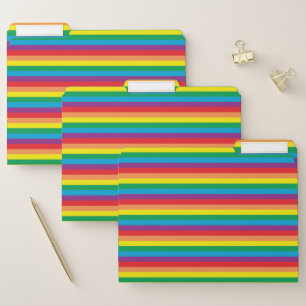 Simply Rainbow Pattern File Folder