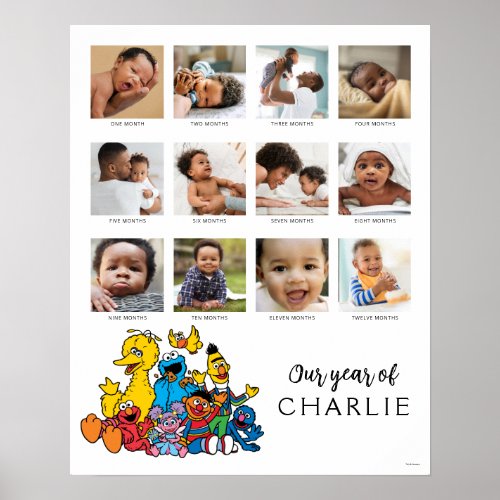 Simply Sesame Street  Babys First Year Poster
