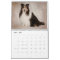 Simply Shelties Calendar