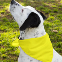 Simply Yellow Solid Color Customize It