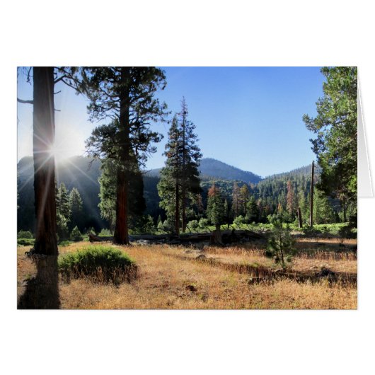 Simpson Meadow - Sierra Cards (Front Horizontal)