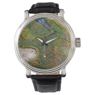 Simpsons Desert Watch