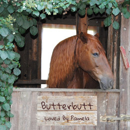 Simulated Rustic Wood Horse Stall Classic Room Door Sign