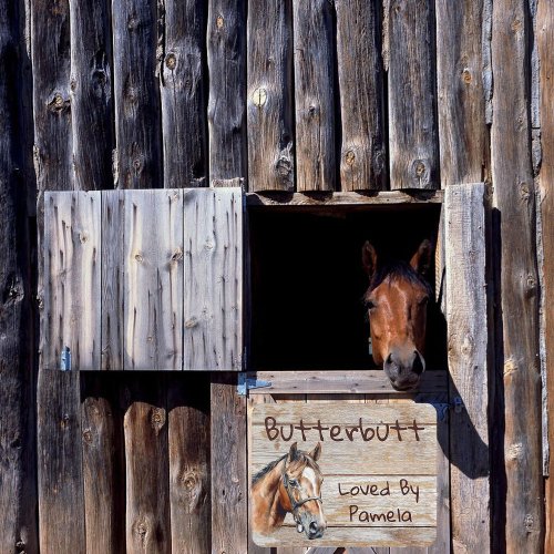 Simulated Rustic Wood Horse Stall Modern Room Door Sign