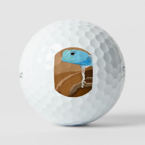 Sinai Agama   Golf Balls