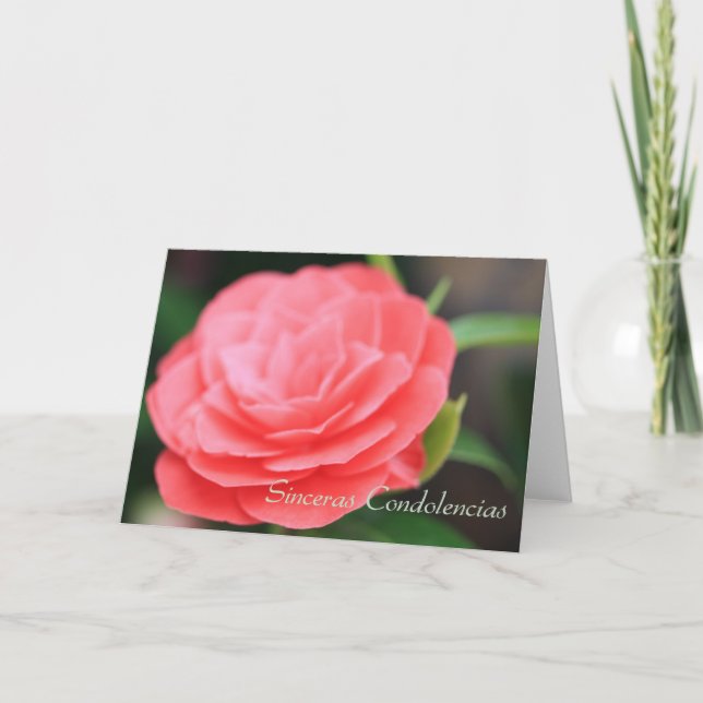 Sinceras Condolencias Spanish sympathy card (Front)