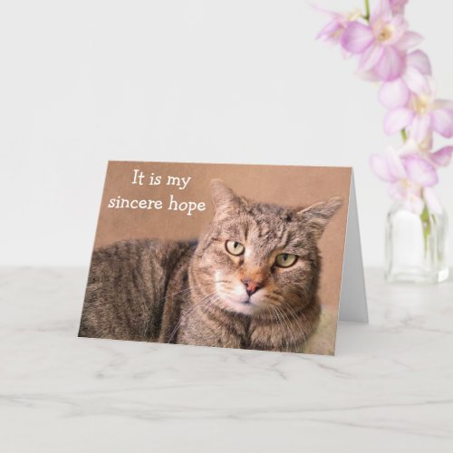 Sincere Cat Get Well Card