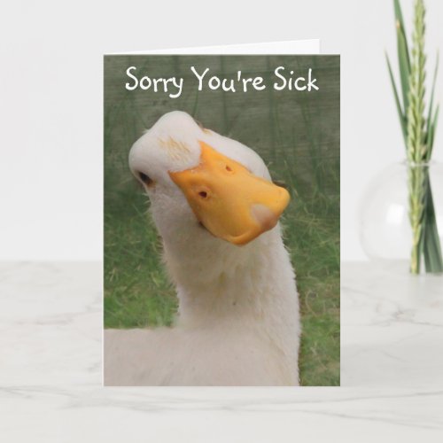 Sincere Goose Get Well  Card