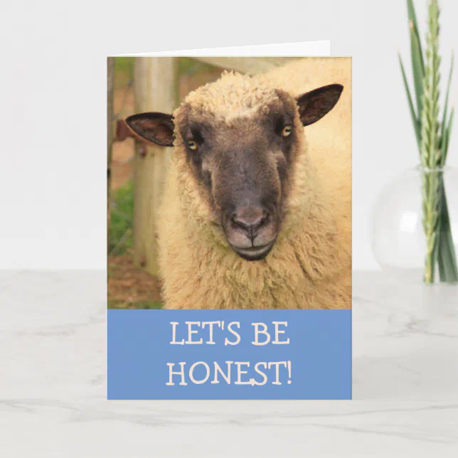 Sincere Honest Sheep Get Well Card | Zazzle