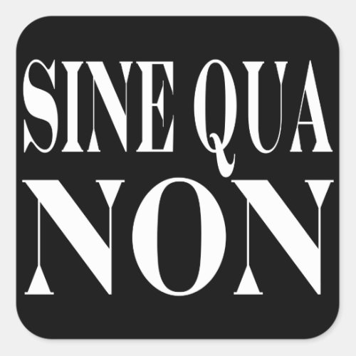 Sine Qua Non Famous Latin Quote Words to live By Square Sticker