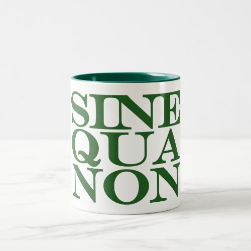 Sine Qua Non Latin Quote Mug