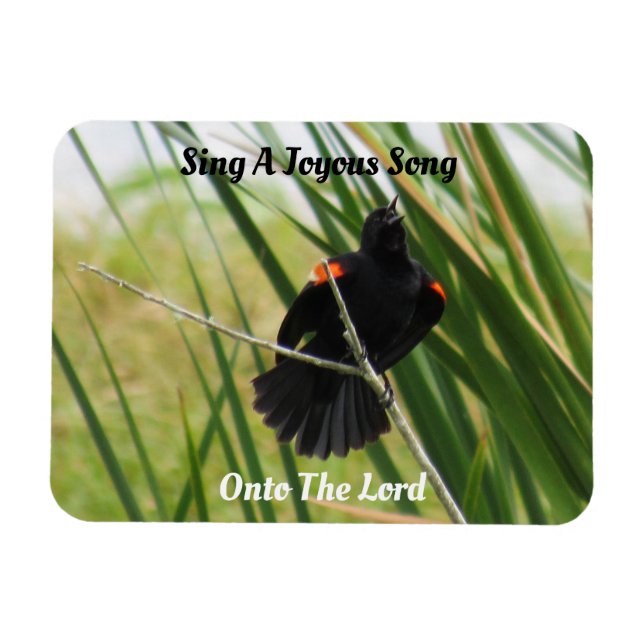 Sing A Joyous Song  - Backyard Bird Quote  Magnet (Horizontal)
