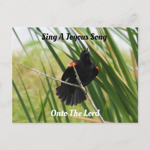 Sing a Joyous Song _ Christian _ Blackbird Postcard