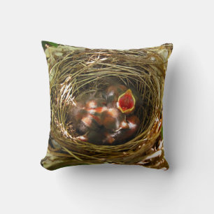 Sing Out [baby Robins] - pillow