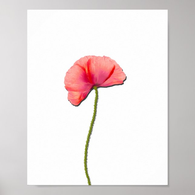 Sing red poppy flower minimalist simplicity poster (Front)