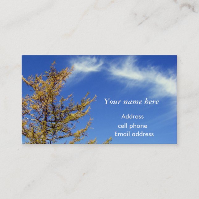 Sing to the Joy/ Business Card (Front)