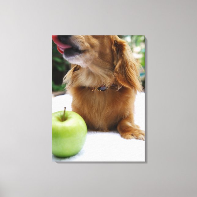 Singapore 2 canvas print (Front)