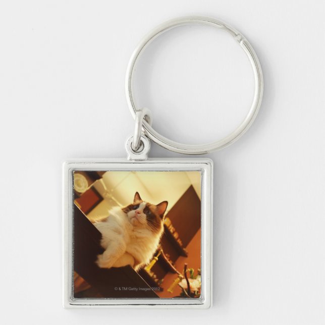 Singapore 6 keychain (Front)