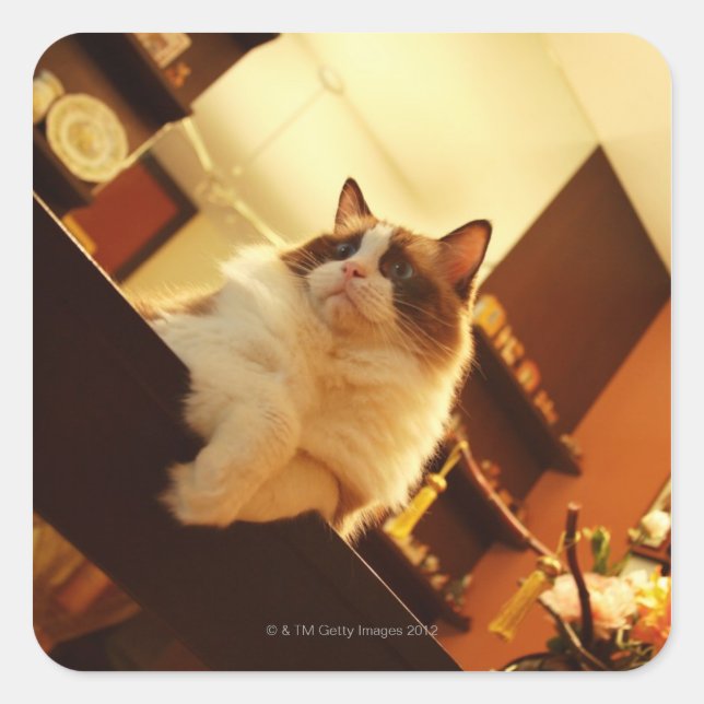 Singapore 6 square sticker (Front)