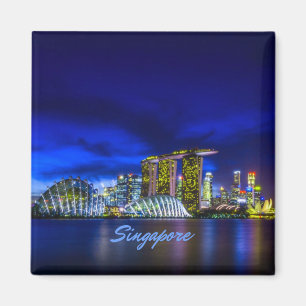 Singapore City Skyline At Night Magnet