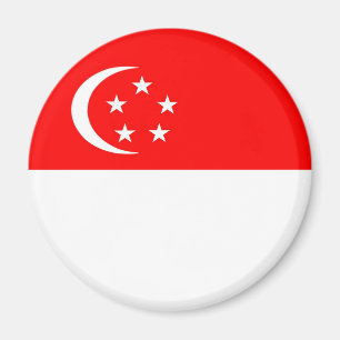 singapore country flag nation symbol magnet