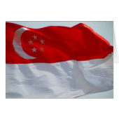 singapore flag (Front Horizontal)