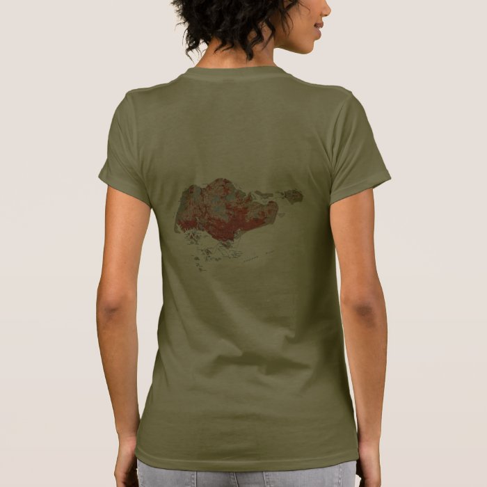 Singapore Flag and Map dk T Shirt T Shirts