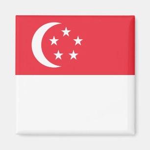 Singapore Flag Magnet